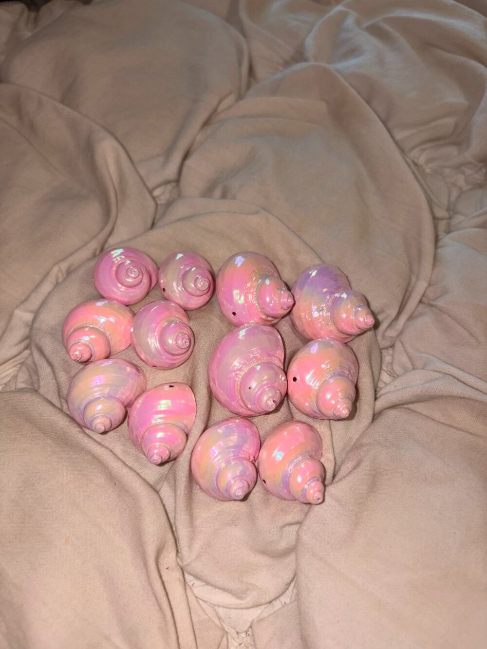 12pc Iridescent Pink Turbo Sea Shell Charms Beads for Jewelry Making Craft